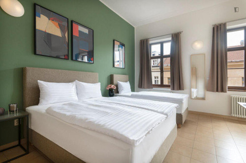 Grand studio in Vinohrady