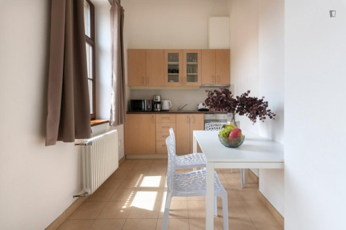 Grand studio in Vinohrady  - Gallery -  5