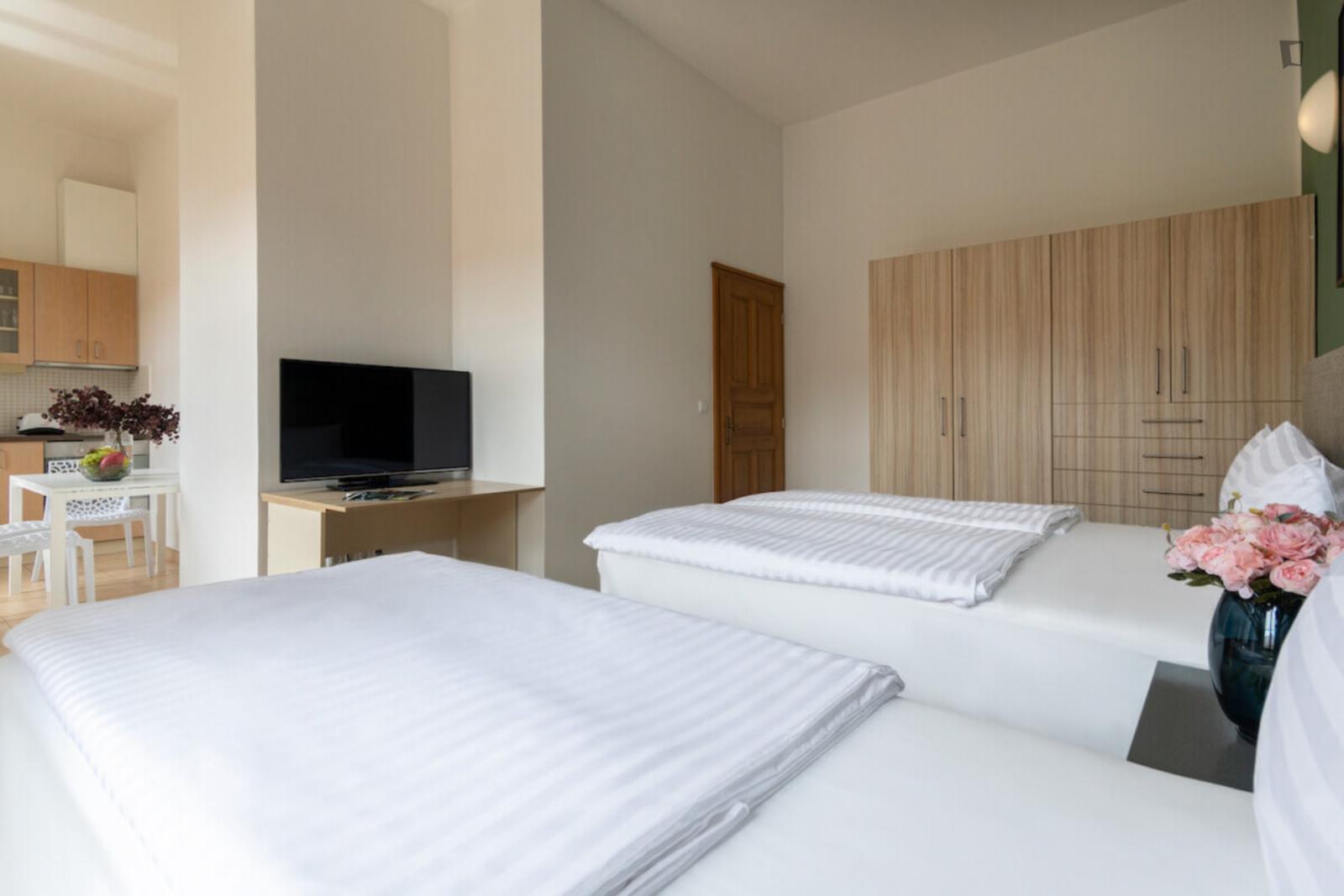  Grand Studio In Vinohrady  -  Grand studio in Vinohrady  - Gallery -  1