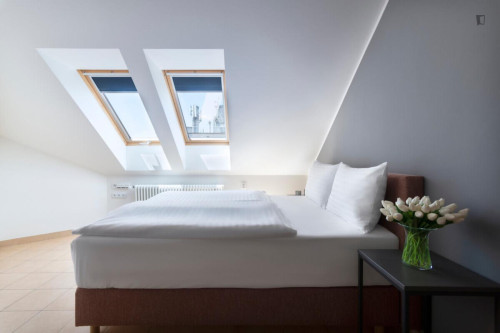 Deluxe 2-bedroom apartment in Vinohrady