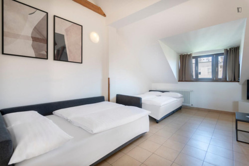 Deluxe 2-bedroom apartment in Vinohrady