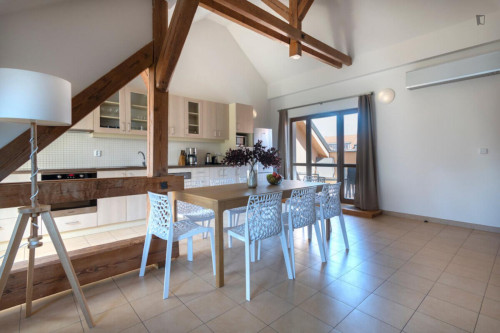 Deluxe 2-bedroom apartment in Vinohrady  - Gallery -  5