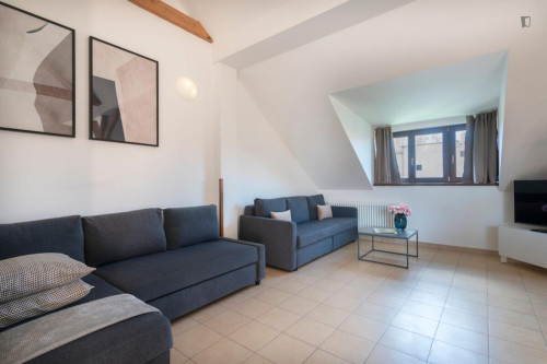 Deluxe 2-bedroom apartment in Vinohrady