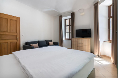Brilliant studio in Vinohrady