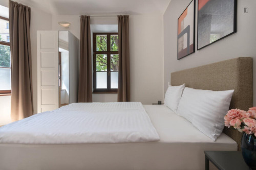 Brilliant studio in Vinohrady