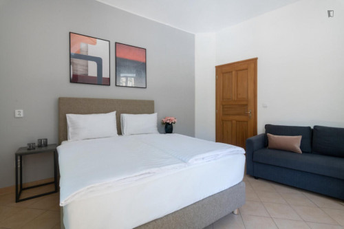 Brilliant studio in Vinohrady