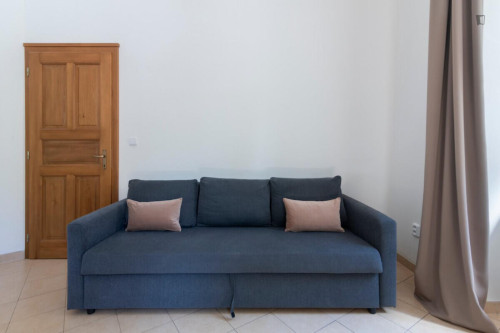 Brilliant studio in Vinohrady  - Gallery -  5