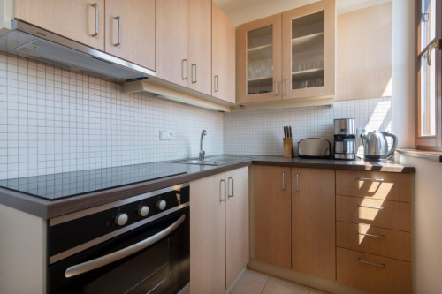 Neat and cosy 2-bedroom apartment in Vinohrady