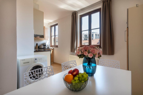 Neat and cosy 2-bedroom apartment in Vinohrady