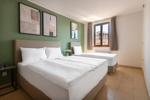 Neat and cosy 2-bedroom apartment in Vinohrady