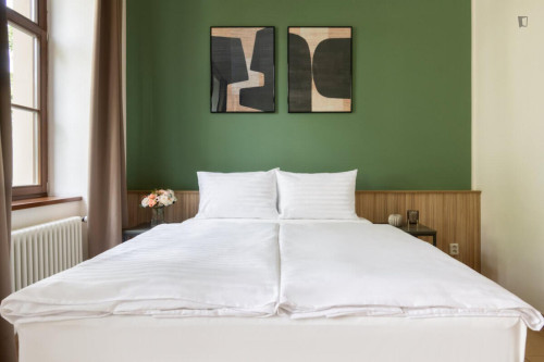 Very cool studio in Vinohrady