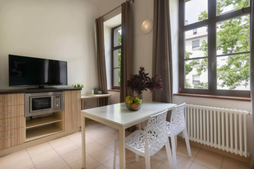 Very cool studio in Vinohrady