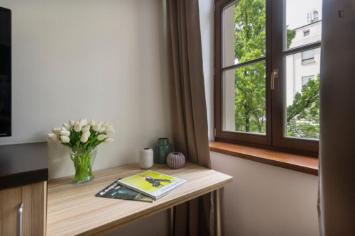 Very cool studio in Vinohrady  - Gallery -  5