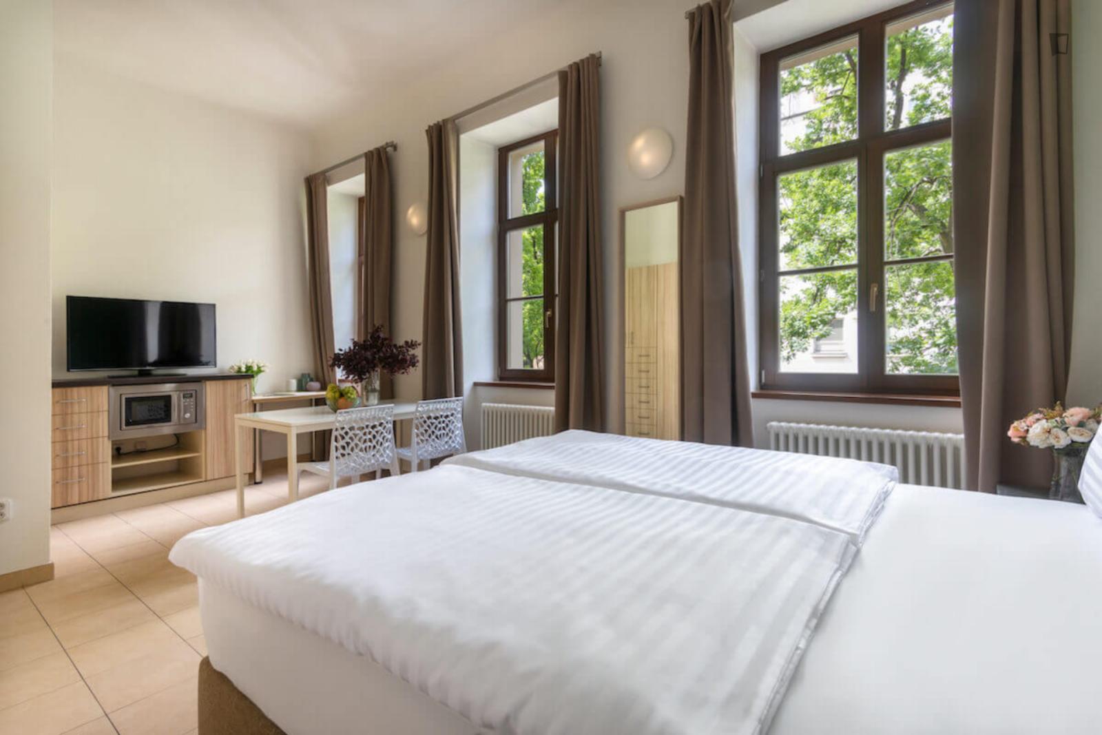 Very Cool Studio In Vinohrady - Very cool studio in Vinohrady - Gallery - 1