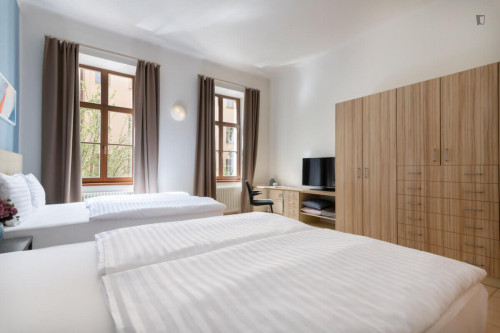 Restufl 1-bedroom apartment in Vinohrady  - Gallery -  2