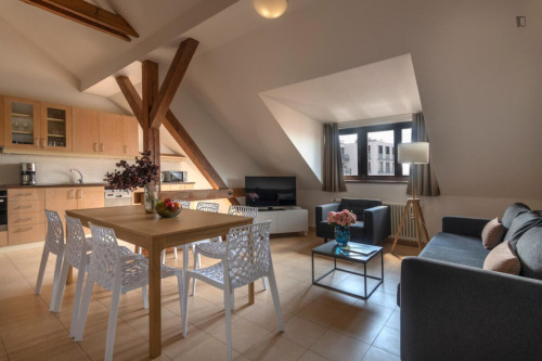 Amazing 2-bedroom apartment in Vinohrady