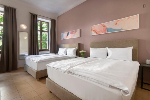 Snug 1-bedroom apartment in Vinohrady