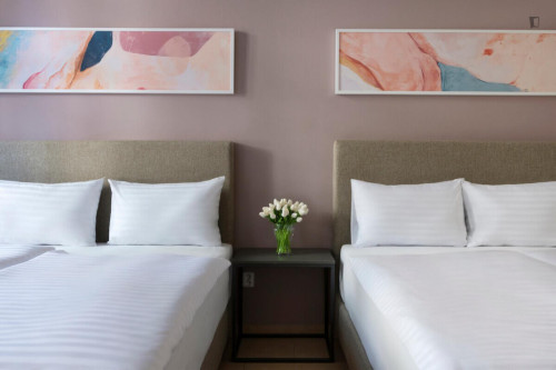 Snug 1-bedroom apartment in Vinohrady