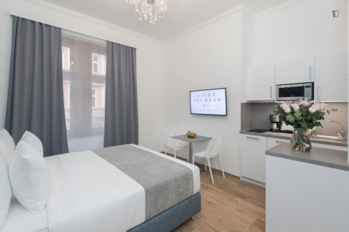 Tasteful studio in Vinohrady