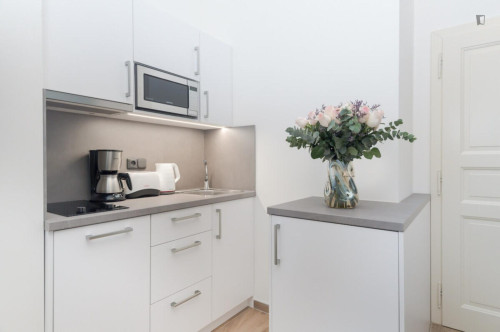 Tasteful studio in Vinohrady - Gallery - 7