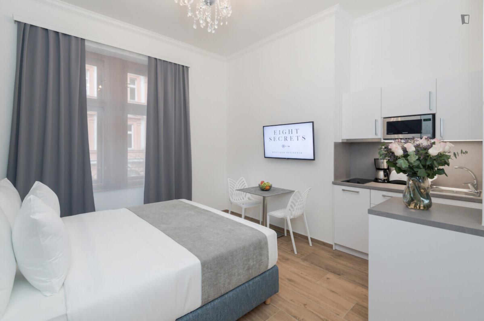  Tasteful Studio In Vinohrady  -  Tasteful studio in Vinohrady  - Gallery -  1