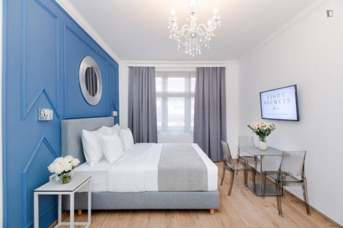 Exquisite studio in the Vinohrady district