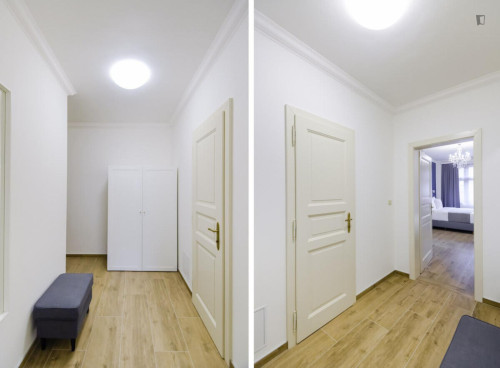 Exquisite studio in the Vinohrady district - Gallery - 9