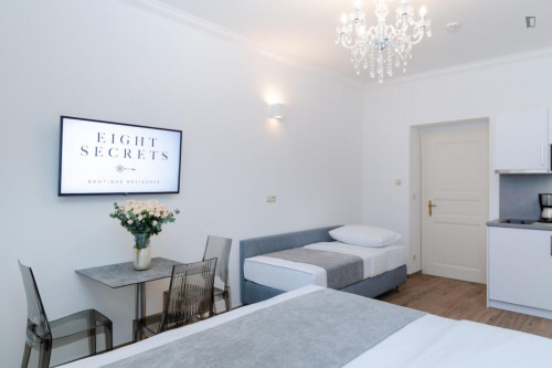 Exquisite studio in the Vinohrady district  - Gallery -  5