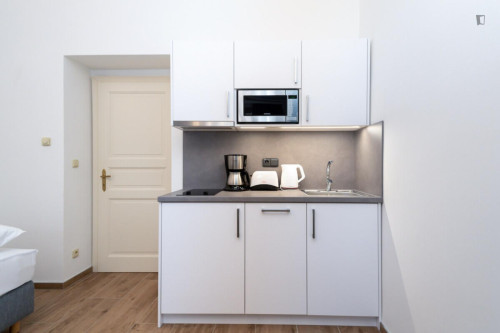 Exquisite studio in the Vinohrady district - Gallery - 7