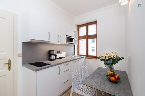 Very comfy 1-bedroom apartment in Vinohrady