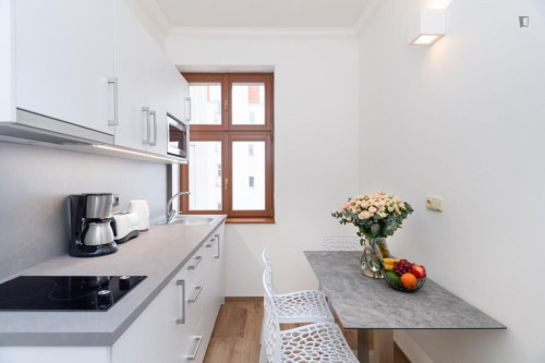 Very comfy 1-bedroom apartment in Vinohrady