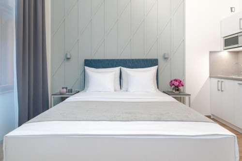 Welcoming studio in the Vinohrady district