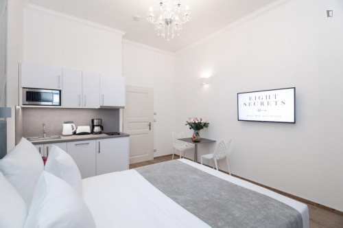 Welcoming studio in the Vinohrady district