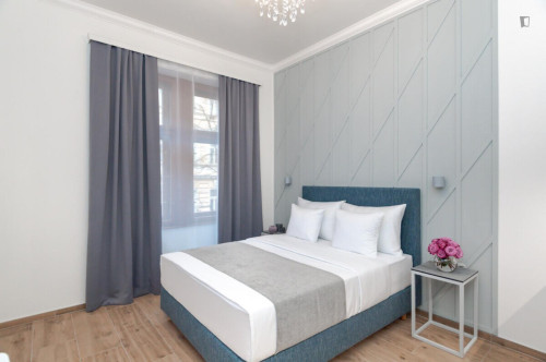 Welcoming studio in the Vinohrady district