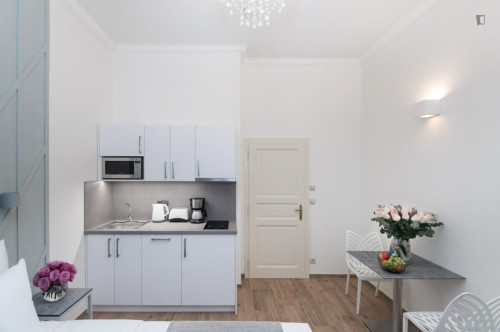 Welcoming studio in the Vinohrady district  - Gallery -  5