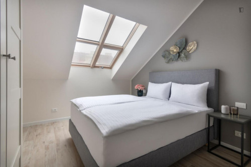 Dashing 2-bedroom apartment in Smíchov