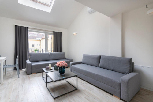 Dashing 2-bedroom apartment in Smíchov