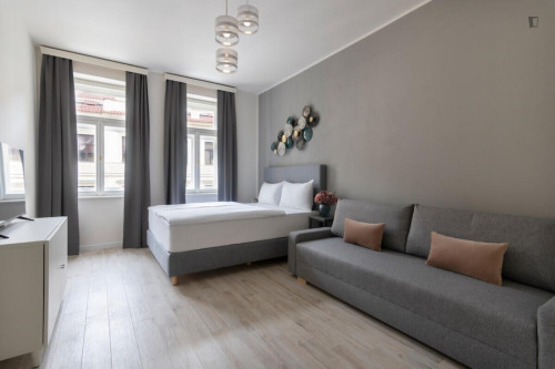 Charismatic 1-bedroom apartment in Smíchov