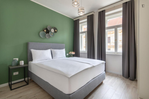 Charismatic 1-bedroom apartment in Smíchov