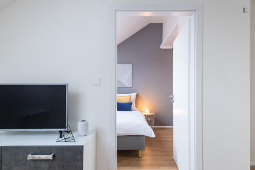 Delightful 1-bedroom apartment in Karlín