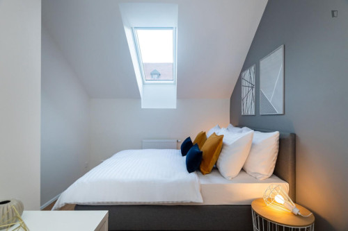 Delightful 1-bedroom apartment in Karlín