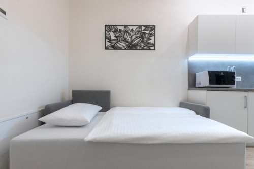 Delightful 1-bedroom apartment in Smíchov