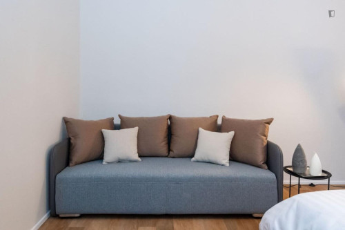 Amazing studio in Karlín