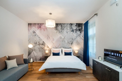 Amazing studio in Karlín