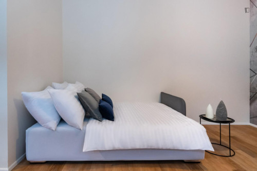 Amazing studio in Karlín