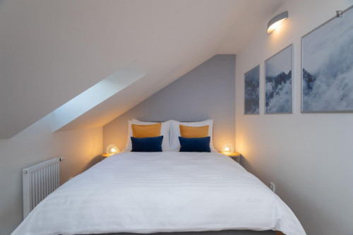 Lovely studio in Karlín