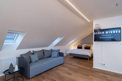 Lovely studio in Karlín