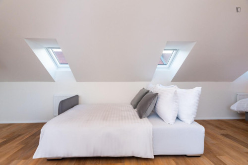 Lovely studio in Karlín