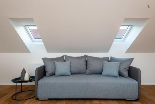 Lovely studio in Karlín