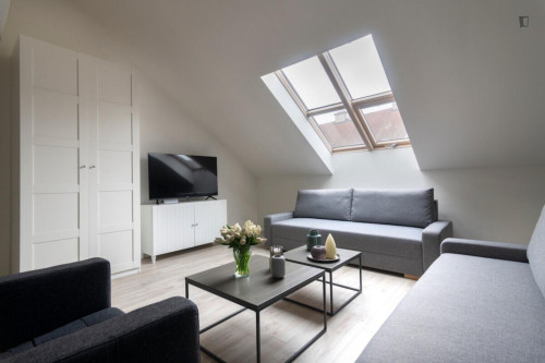 Inviting 2-bedroom flat in Smíchov